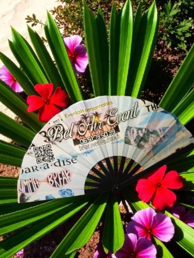 L'éventail grand format